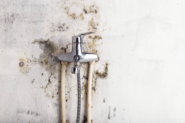Best Emergency Mold Remediation in Piedmont, OK