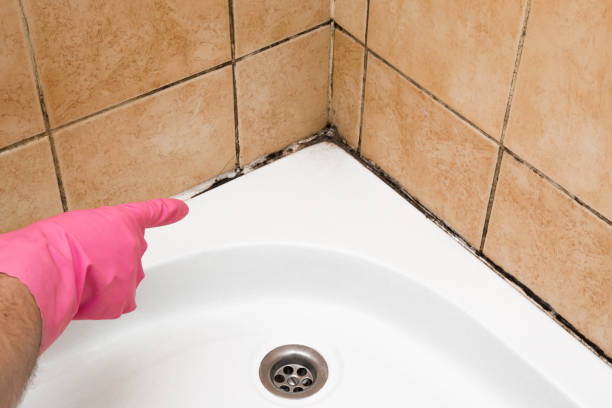 Best Mold Remediation for Specific Building Types in Piedmont, OK
